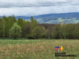 Działka pod zabudowę w miejscowości Jaworek (Kotlina Kłodzka)